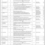 Water and Power Development Authority (WAPDA)